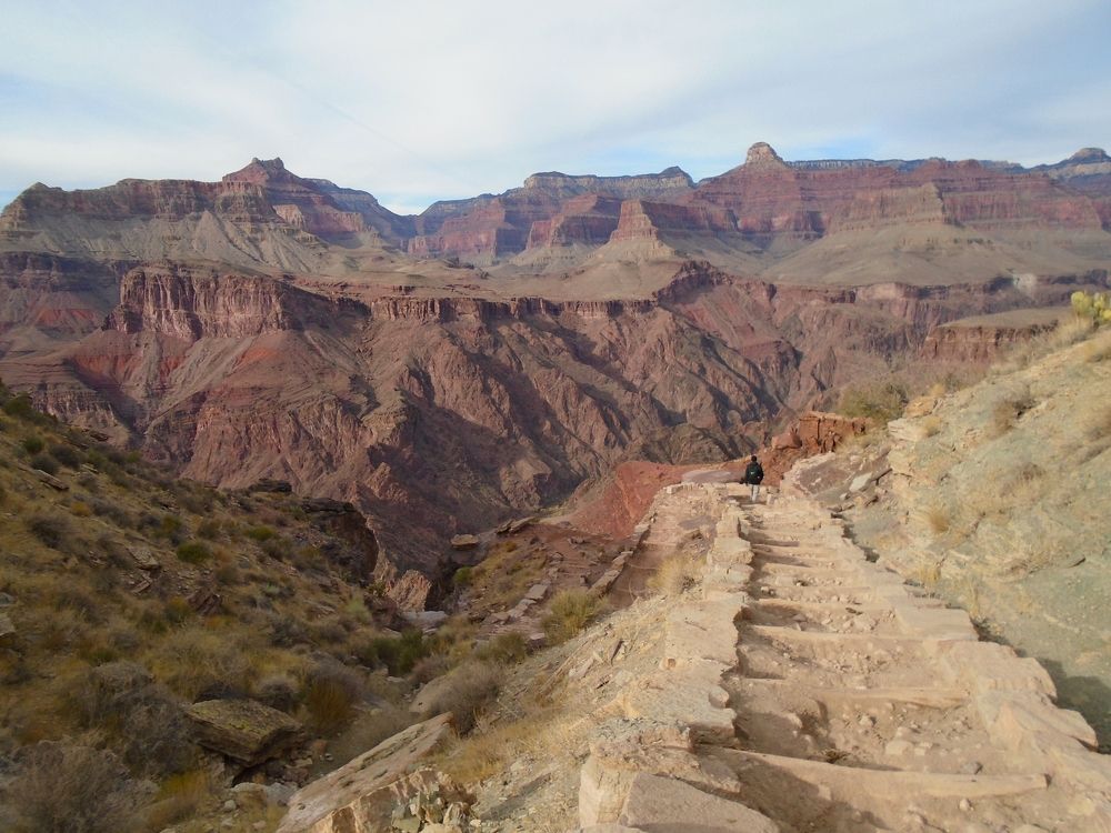 Фотография автора Елена