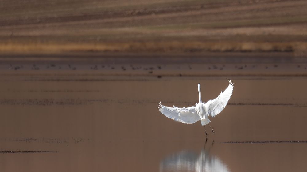 Photograph by Reza Nik