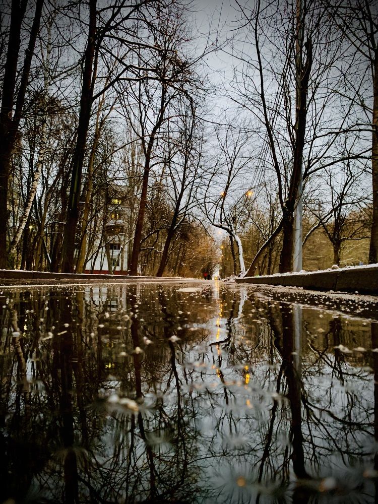 Photograph by Дмитрий Забурдаев