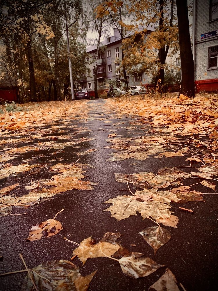 Photograph by Дмитрий Забурдаев