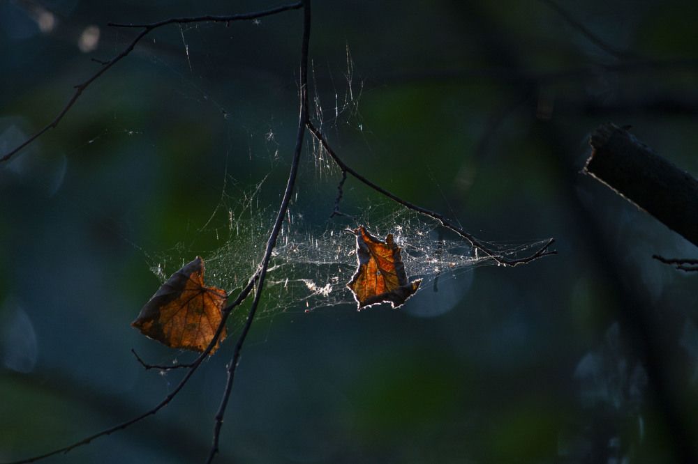 Photograph by Владислав Капанов