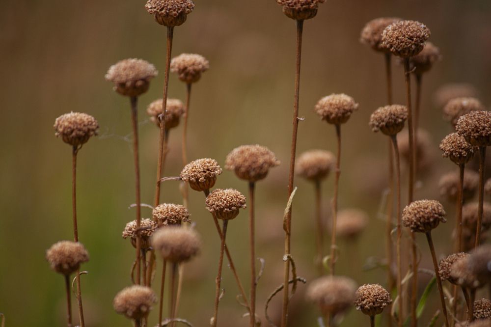 Photograph by Владислав Капанов