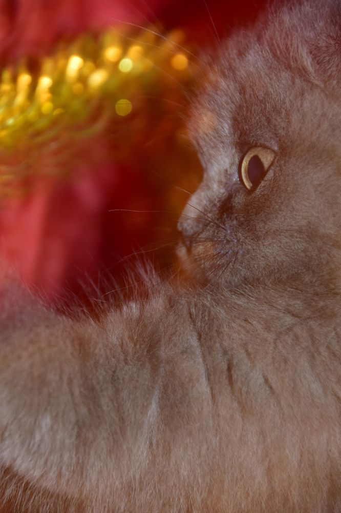 Photograph by Ольга Рыкова