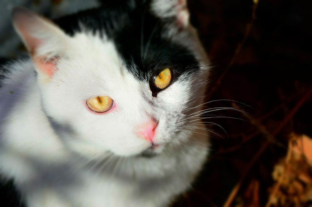 Photograph by Ольга Рыкова