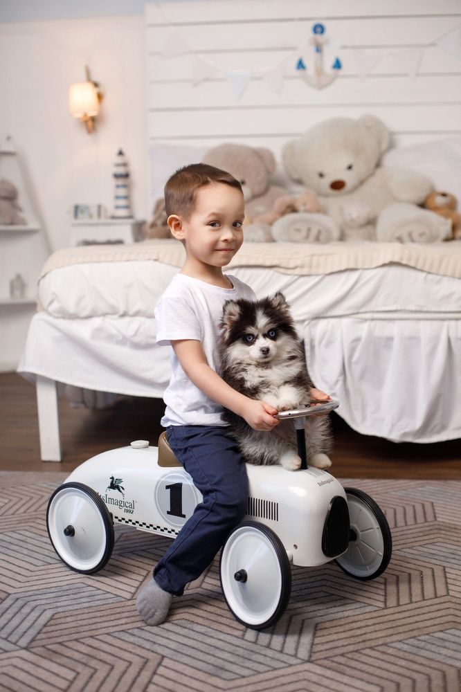 Photograph by Любовь Покацкая