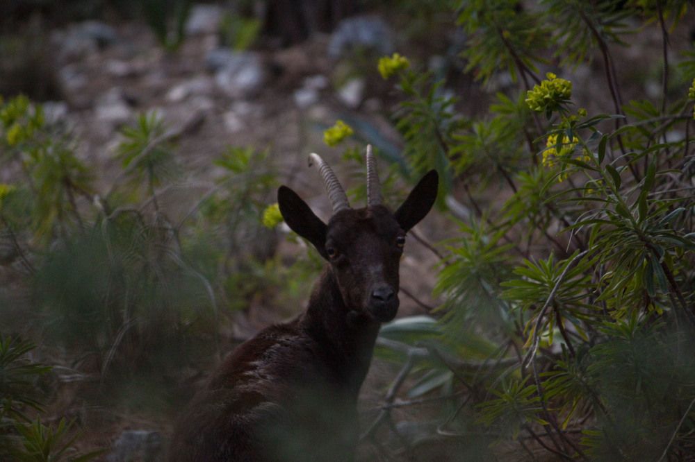 Photograph by Владислав Капанов