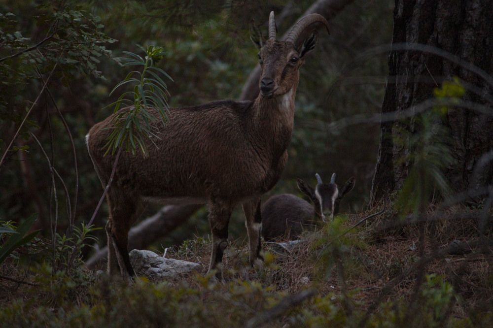 Photograph by Владислав Капанов