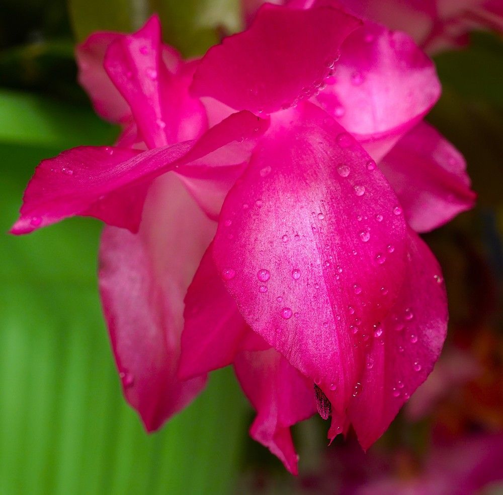 Photograph by Михаил Трусов