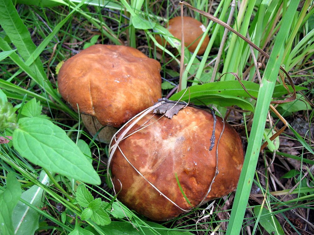 Photograph by Владимир