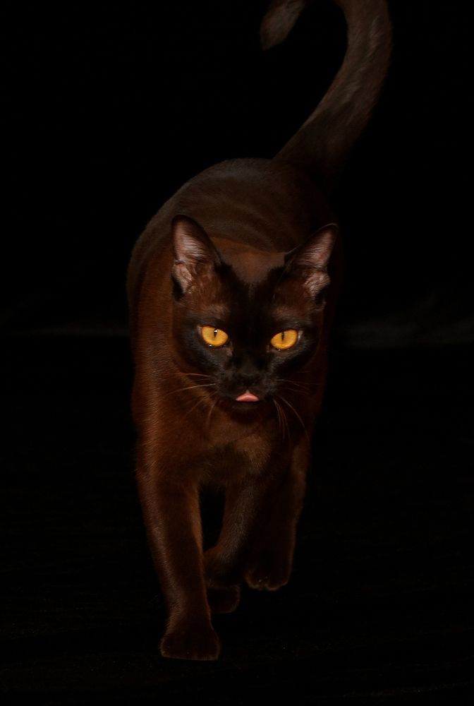 Фотография автора Надежда Лисицына