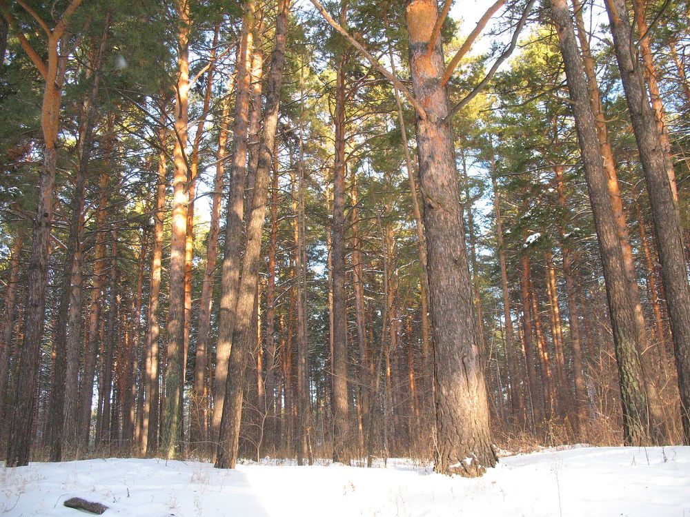 Photograph by Владимир