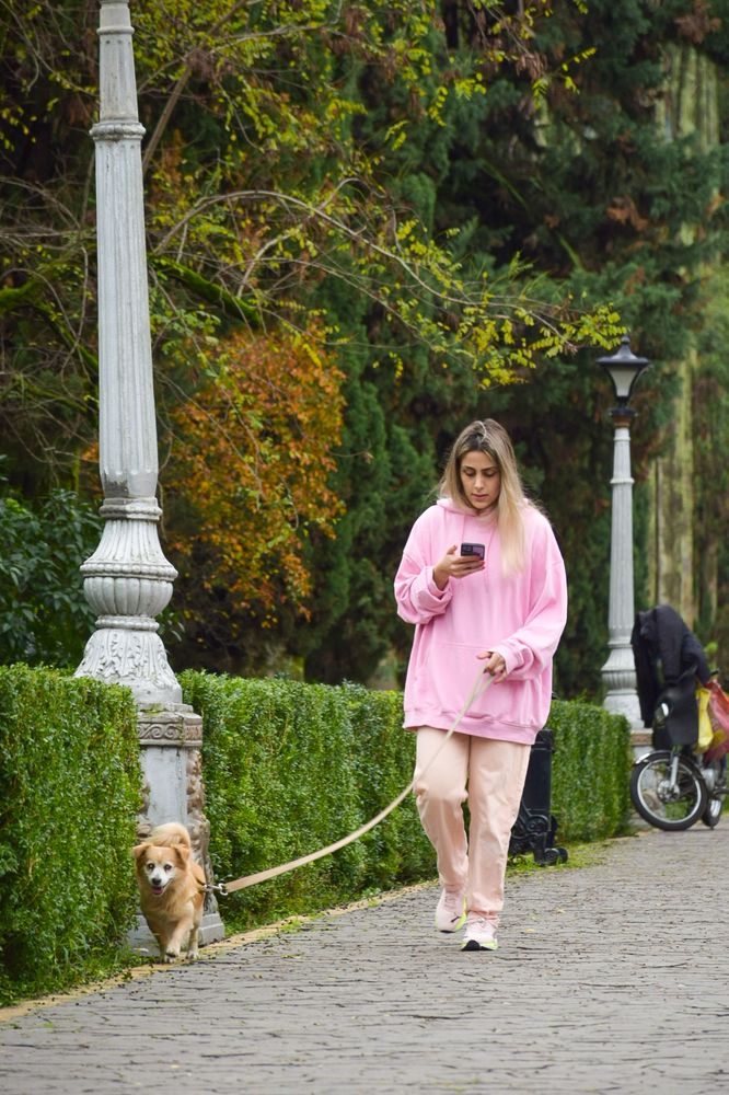 Photograph by Ehsan Fathi