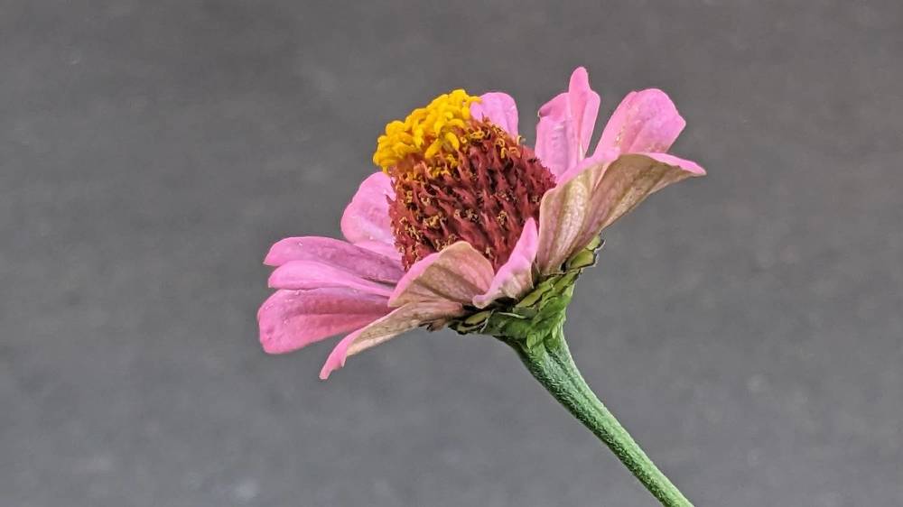 Photograph by Lilit Petrosyan