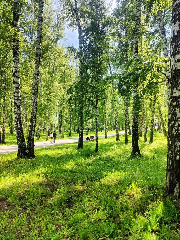 Photograph by Olena Chertous