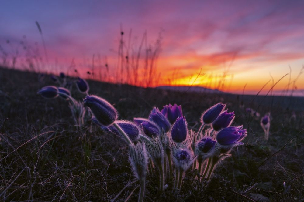 Photograph by Юлия Мальцева