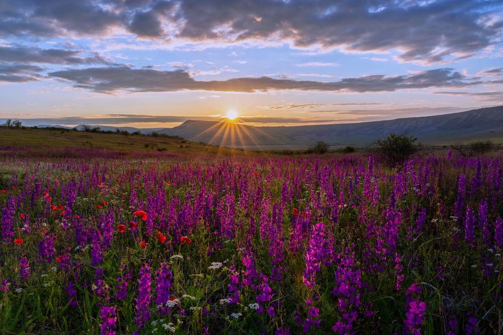 Photograph by Юлия Мальцева