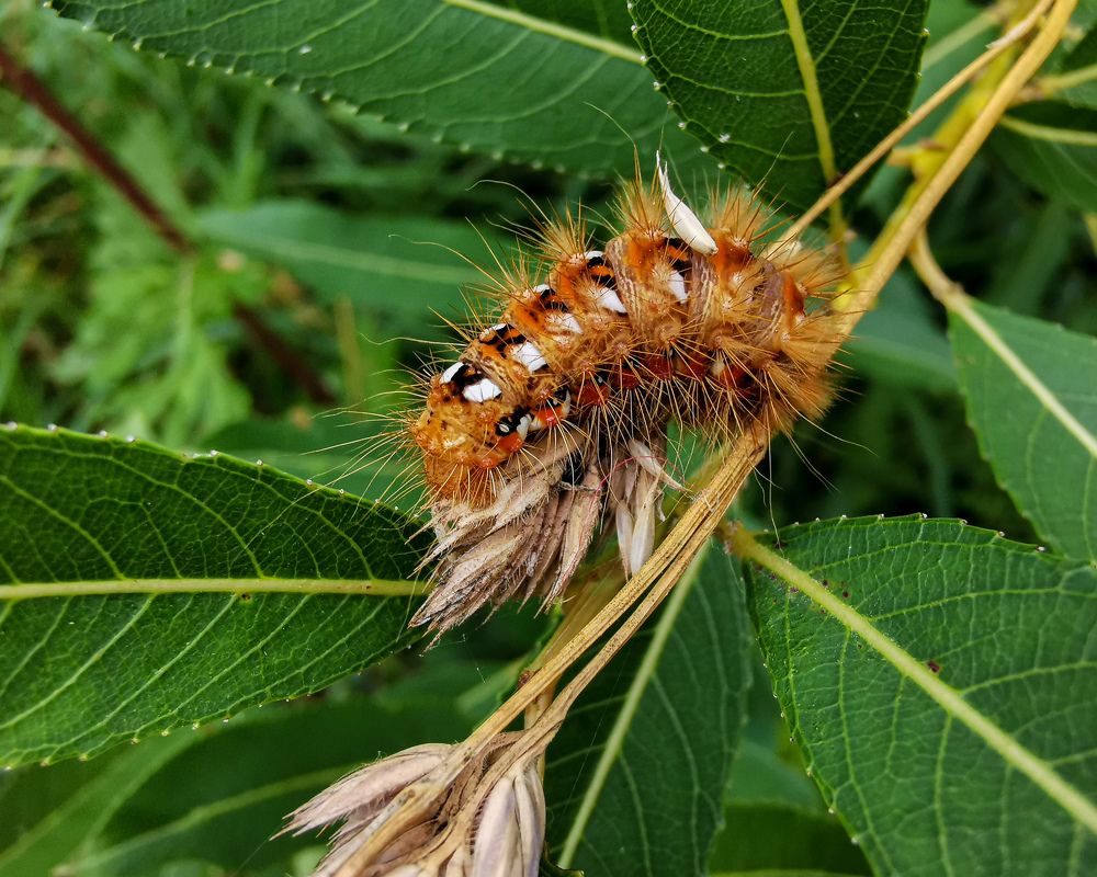 Фотография автора Дмитрий