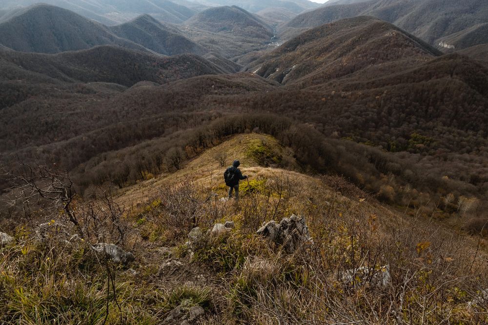 Photograph by Виталий Шкадинов