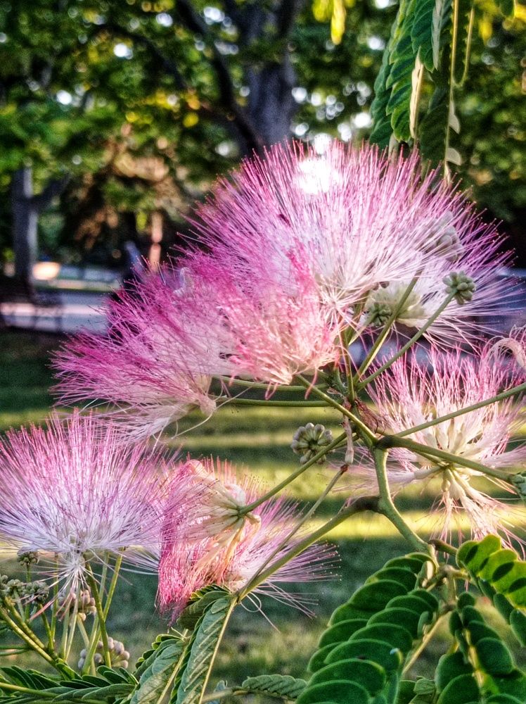 Photograph by Валентина Рябуха