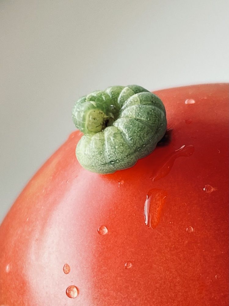 Photograph by Татьяна Баранова