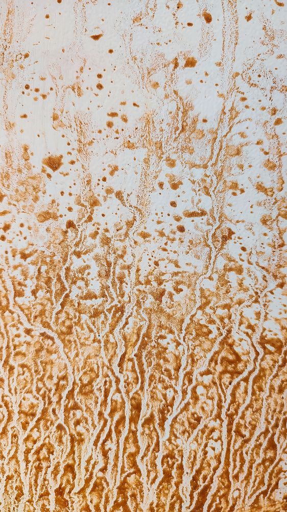 Photograph by Ehsan Fathi