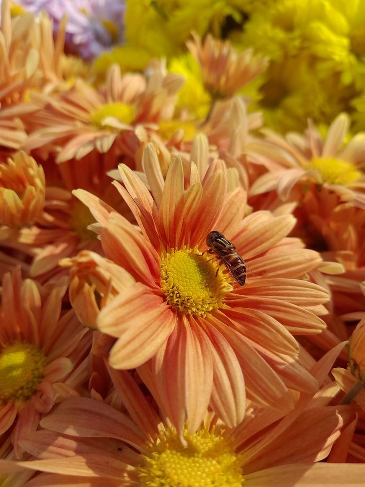 Photograph by BHUPENDRA LODHI