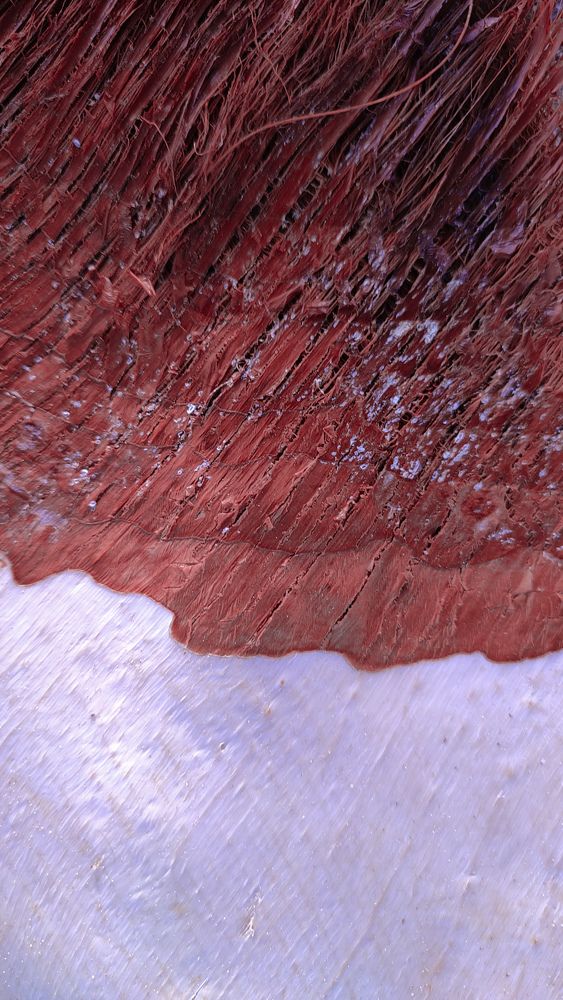 Photograph by Ehsan Fathi