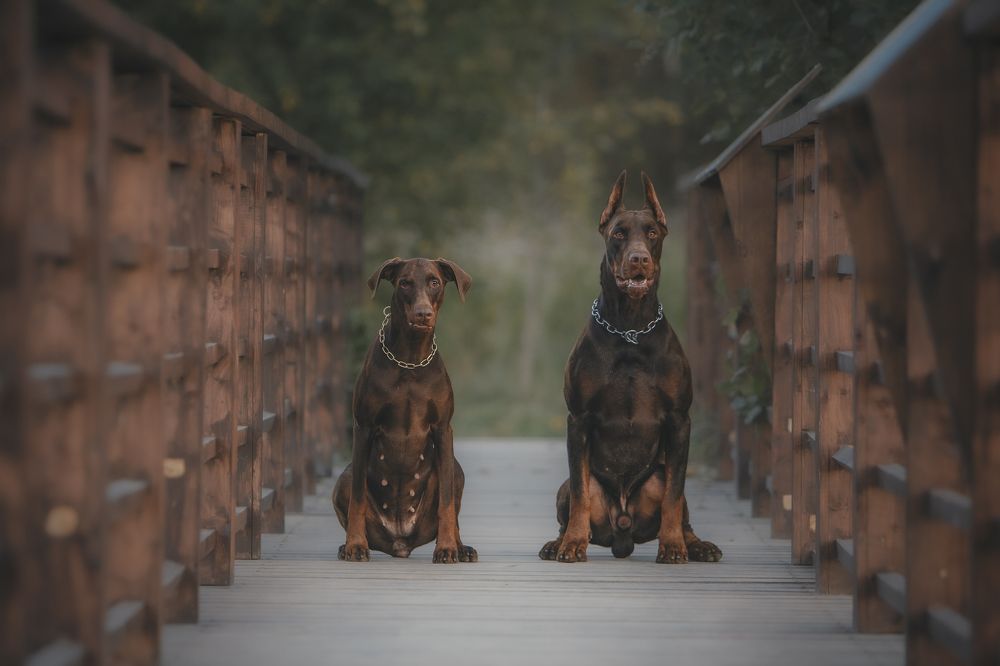 Photograph by Мария Клещенко