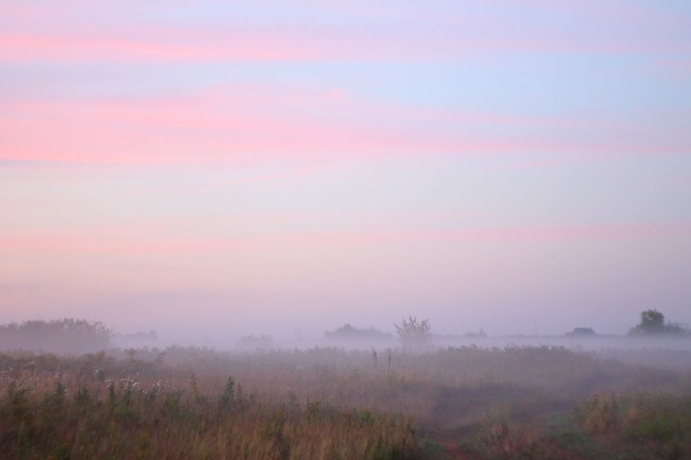 Photograph by Sasha Zavarova