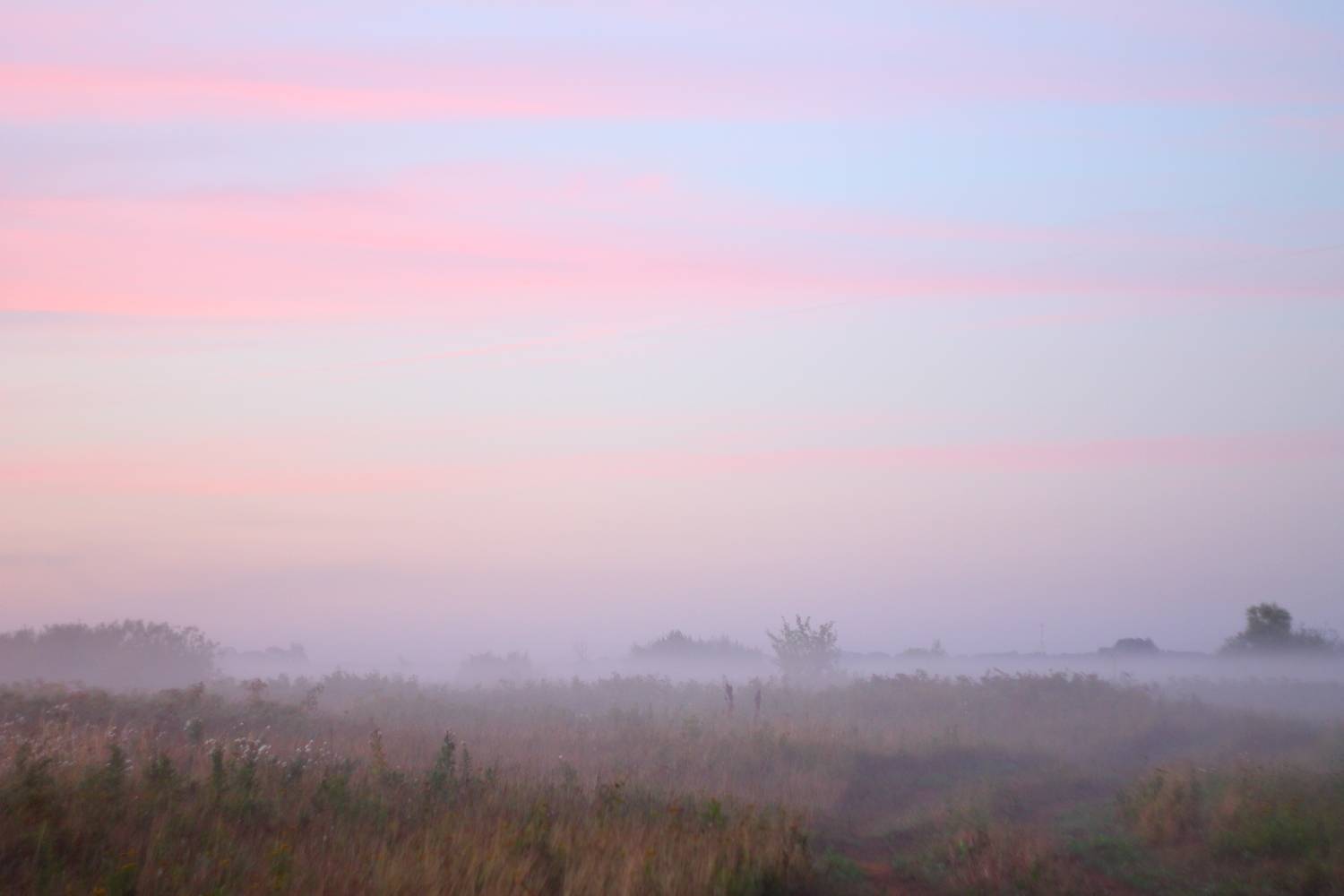 Photo #11442378