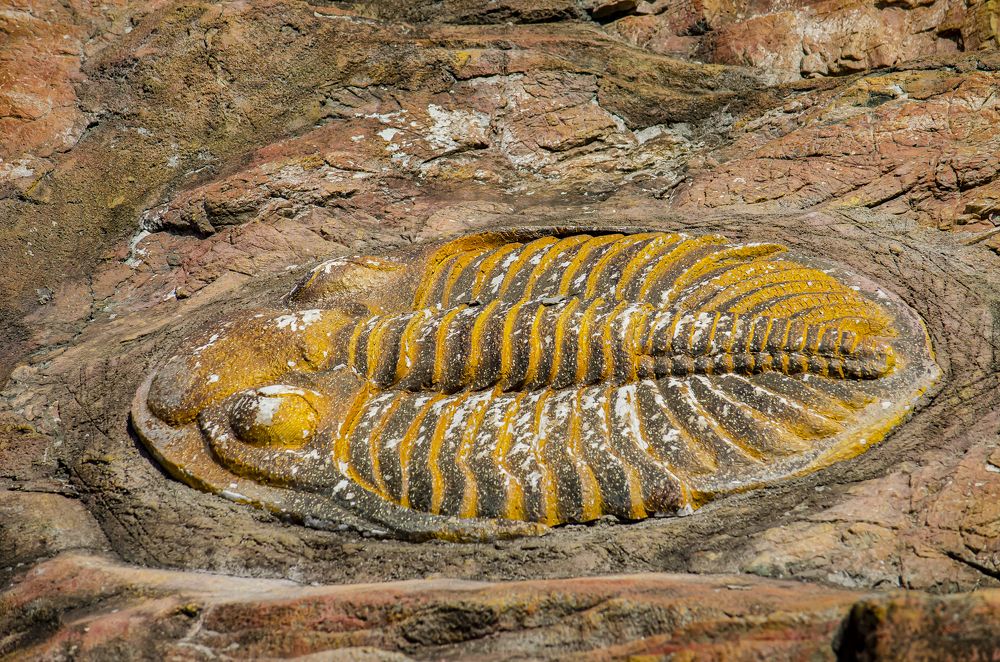 Photograph by Юлиана Иванова