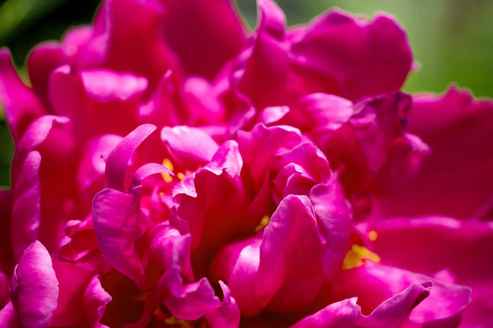 Фотография автора Вадим Коваленко