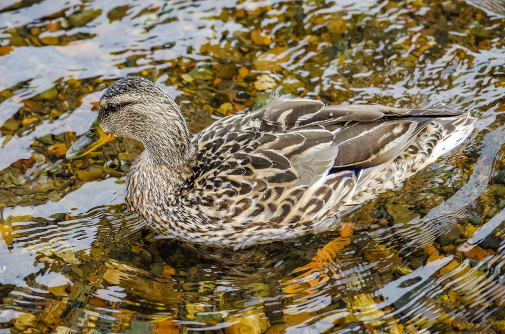 Photograph by Юлиана Иванова