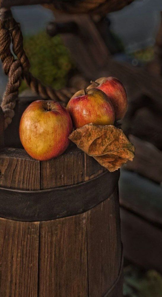 Photograph by Елена Бородулина