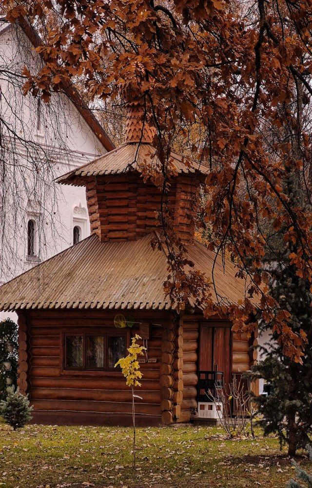 Photograph by Елена Бородулина