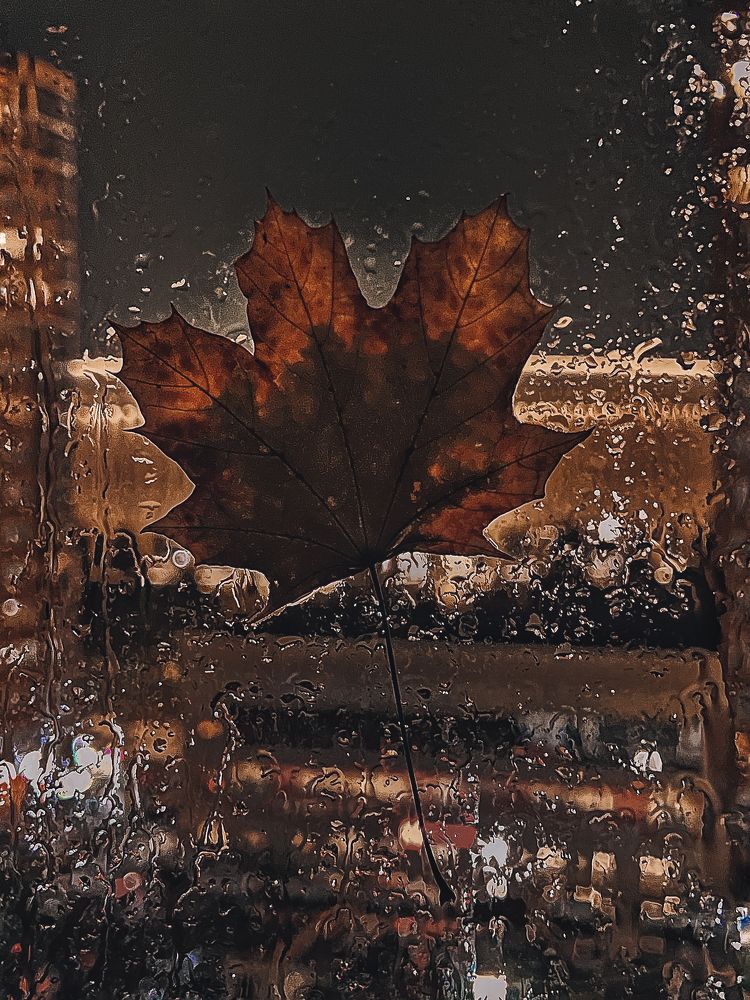 Photograph by Елена Громова