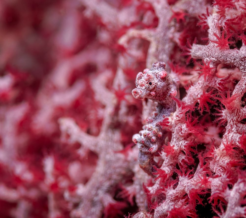 Photograph by Савин Андрей