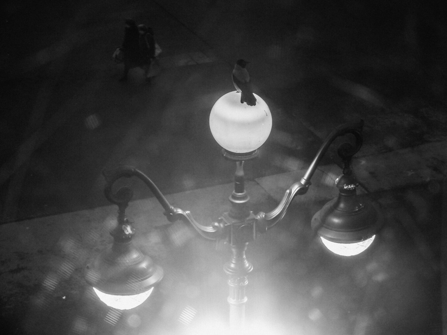 Photo #11442503