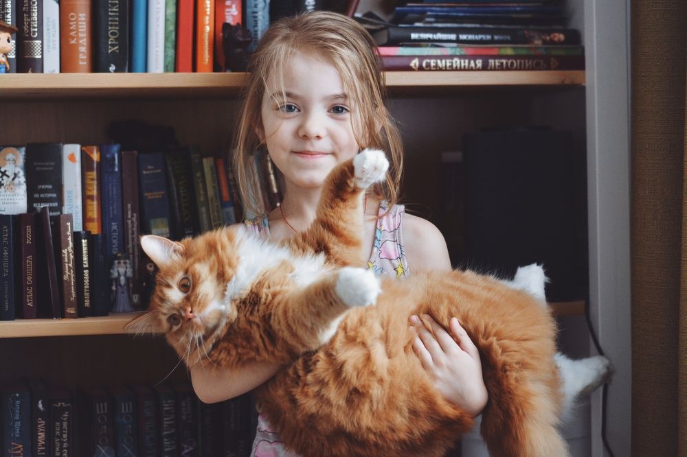 Photograph by Всеволод