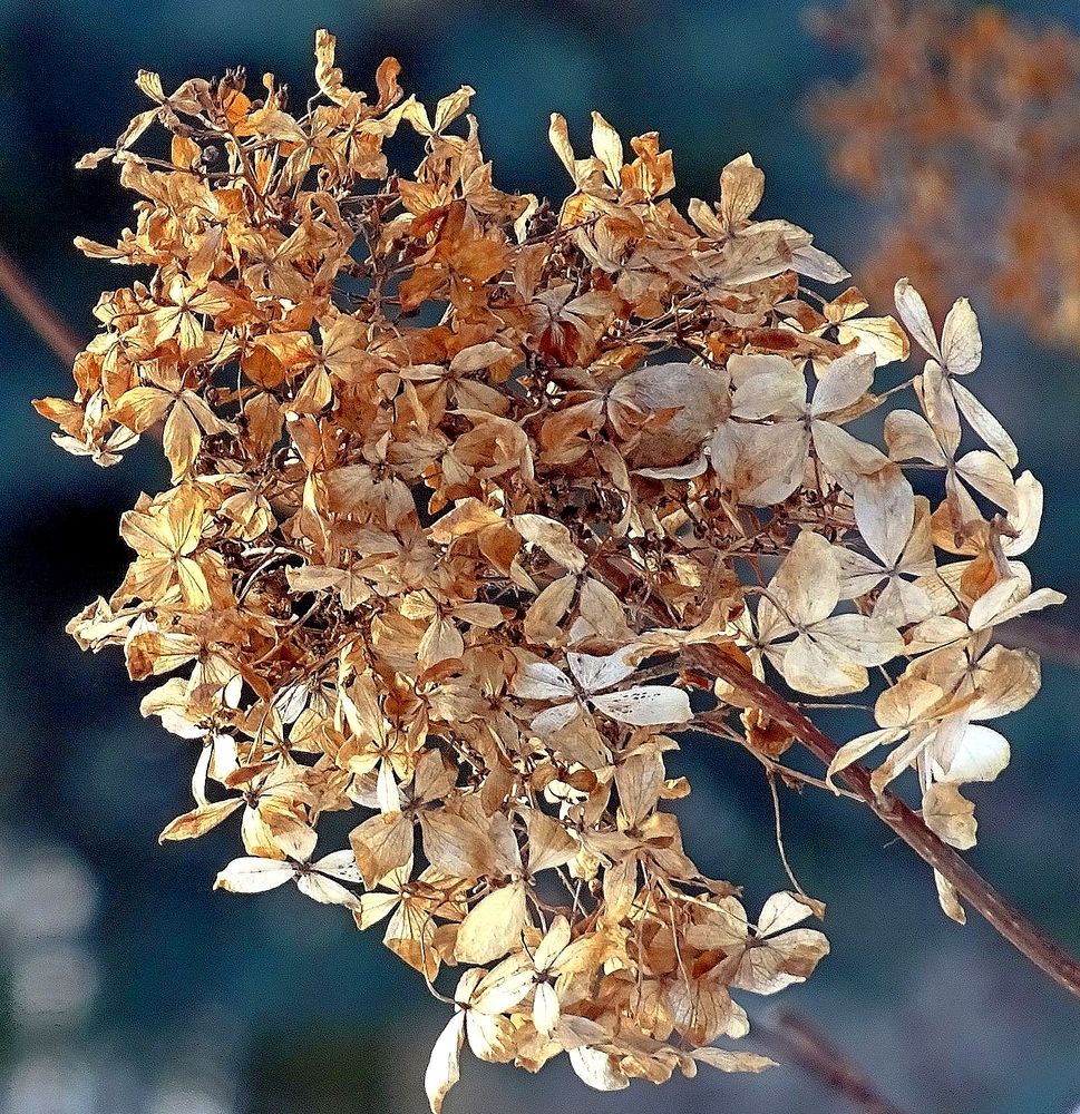 Осенняя гамма