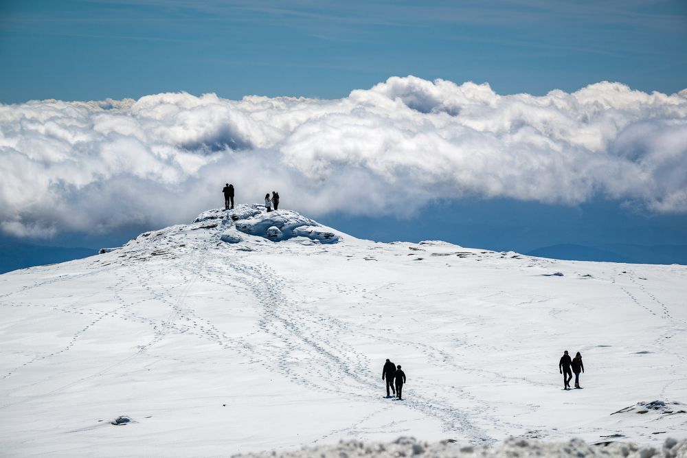 Видовая точка