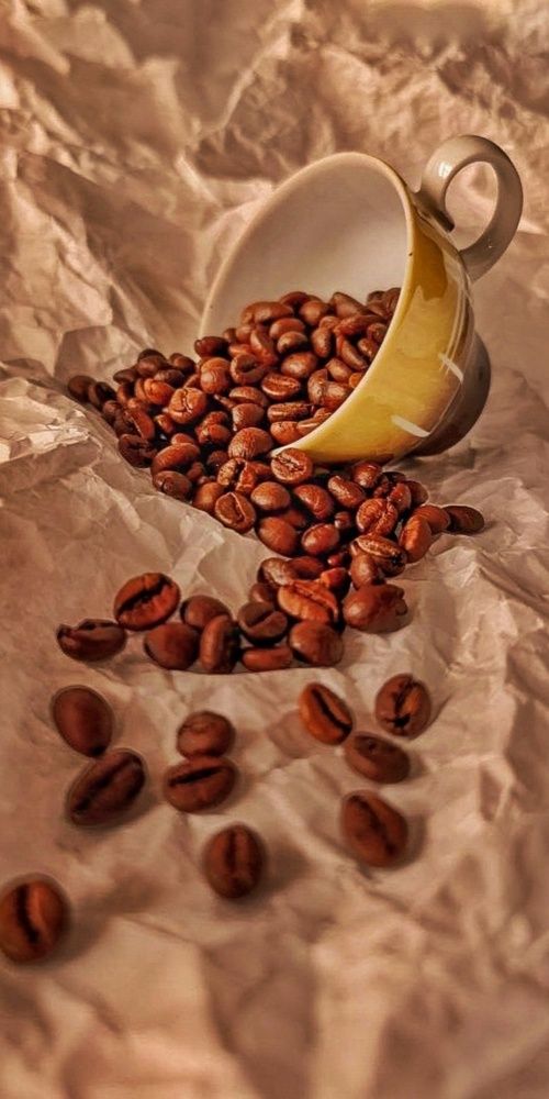 Photograph by Елена Бородулина