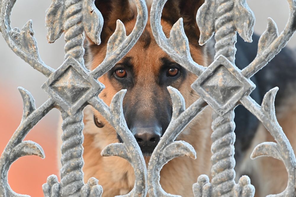 Photograph by Сергей Зубов