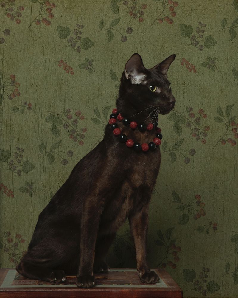 Фотография автора Galina Sa