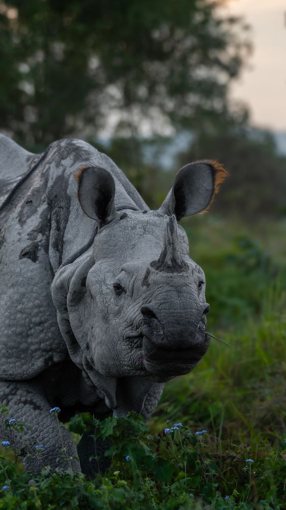 Photograph by Arnold Judson Samuel