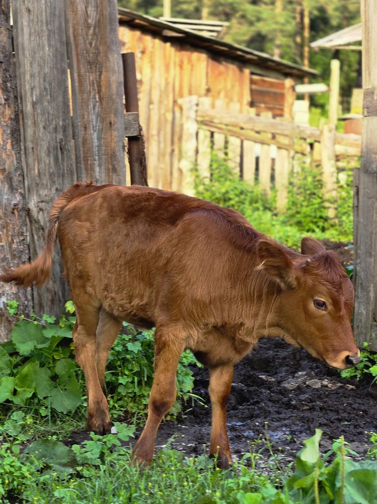 Photograph by Ольга Дёмина