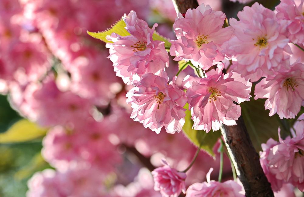 Photograph by Алексей Зимин