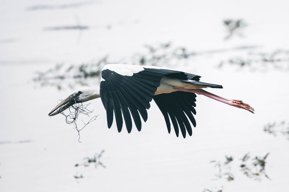 Photograph by Vinod Vidushka M.L.