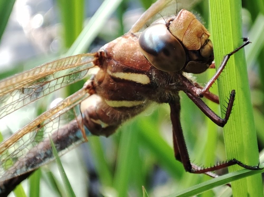 Photograph by Калюнова Наталья