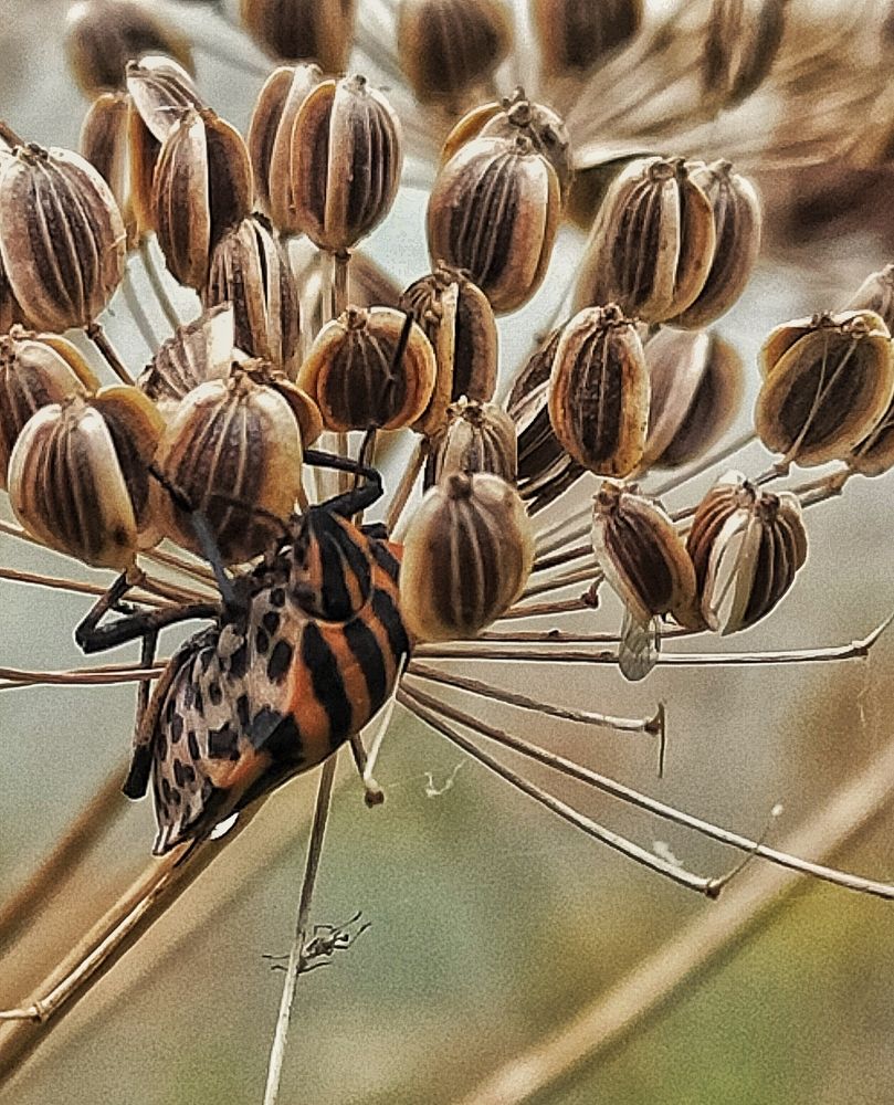 Photograph by Ольга Мартьянова